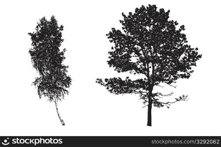vector silhouettes tree on white background