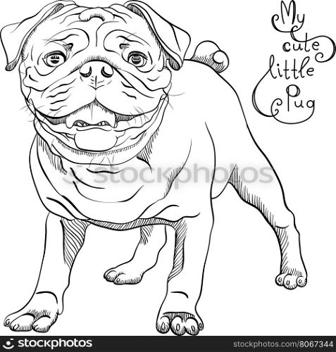 vector sketch cute dog black pug breed. black and white sketch cute dog pug breed