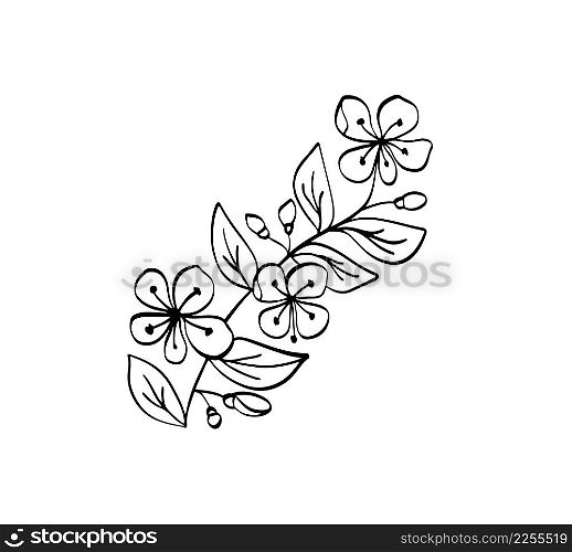 Vector Sketch Floral Botany branch spring. Magnolia flower drawing. Black and white with line art isolated on white background. Hand Drawn Botanical Illustration.. Vector Sketch Floral Botany branch spring. Magnolia flower drawing. Black and white with line art isolated on white background. Hand Drawn Botanical Illustration