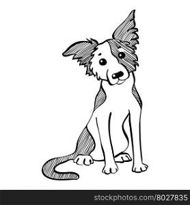 Vector sketch funny Border Collie dog sitting. Sketch Funny dog Border Collie breed sitting hand drawing vector
