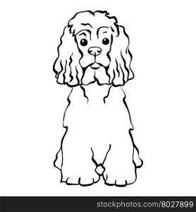 Vector sketch funny dog sitting. Sketch Funny dog American Cocker Spaniel breed sitting hand drawing vector