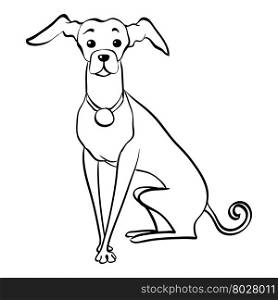 Vector sketch funny Italian Greyhound dog sitting. Sketch Funny dog Italian Greyhound breed sitting hand drawing vector