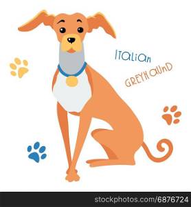 Vector sketch funny Italian Greyhound dog sitting. Vector color Funny dog Italian Greyhound breed sitting hand drawing vector
