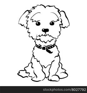 Vector sketch funny maltese dog sitting. Sketch Funny dog maltese breed sitting hand drawing vector