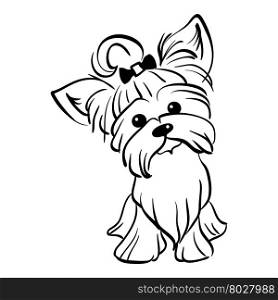 Vector sketch funny Yorkshire terrier dog sitting. Sketch Funny dog Yorkshire terrier breed sitting hand drawing vector