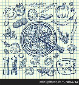Vector sketched contoured italian pizza ingridients on notebook cell sheet. Sketch food italian pizza illustration. Vector sketched contoured italian pizza ingridients on notebook cell sheet