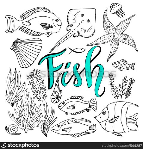 Vector sketches fish set. Hand drawn vector marine set. Adult coloring book page.. Vector sketches fish set. Hand drawn vector marine set. Adult coloring book page