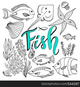 Vector sketches fish set. Hand drawn vector marine set. Adult coloring book page.. Vector sketches fish set. Hand drawn vector marine set. Adult coloring book page