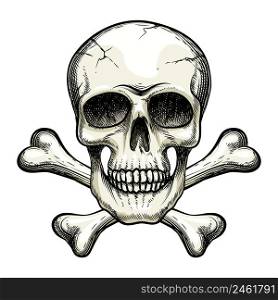 vector skull and crossbones on white background