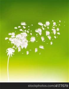 vector spring background with dandelion