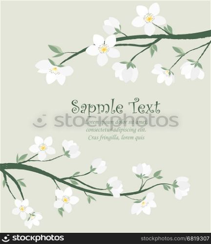Vector spring blossom. Vector illustration of decorative branches with flowers. Spring blossom