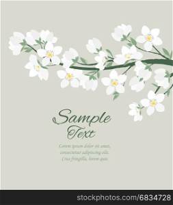 Vector spring blossom. Vector illustration of decorative branches with flowers. Spring white blossom