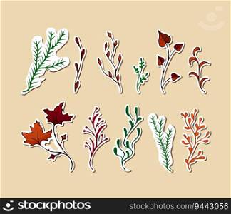 vector stickers Branches evergreen, autumn colors. Twigs maple, aspen, coniferous, herbs illustration. Hand drawn branches on white background. Design element for natural and organic designs.. vector stickers Branches evergreen, autumn colors. Twigs maple, aspen, coniferous, herb illustration