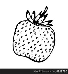 Vector strawberry clipart Hand drawn berry icon Fruit illustration For print, web, design, decor