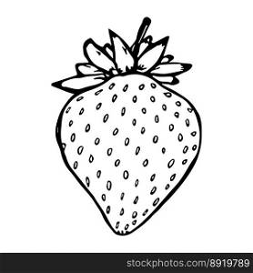 Vector strawberry clipart Hand drawn berry icon Fruit illustration For print, web, design, decor