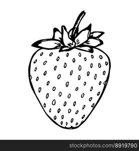 Vector strawberry clipart Hand drawn berry icon Fruit illustration For print, web, design, decor