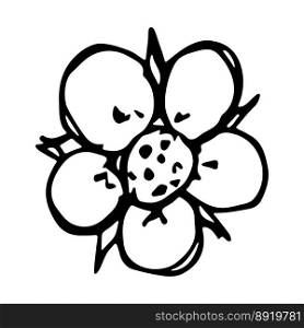 Vector strawberry flower clipart Hand drawn blossom illustration For print, web, design, decor, logo