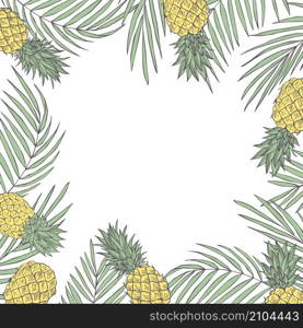 Vector summer background with hand drawn tropical plants and pineapples. Sketch illustration.. Vector background with hand drawn tropical plants.