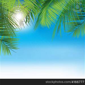 vector summer background with palm leaves