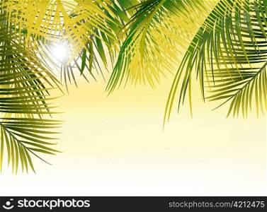 vector summer background with palm leaves