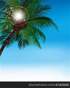 vector summer background with palm tree