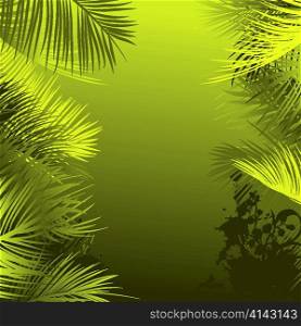 vector summer background with palm tree leaves