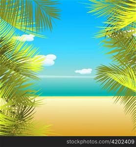 vector summmer background with palm leaves