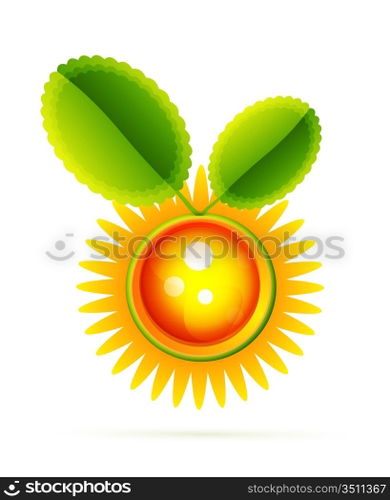 Vector sun leaf concept