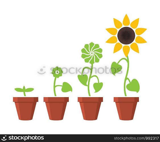 vector sunflower plant growth stages concept, abstract flower symbols isolated on white background, flat style