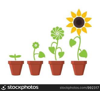 vector sunflower plant growth stages concept, abstract flower symbols isolated on white background, flat style
