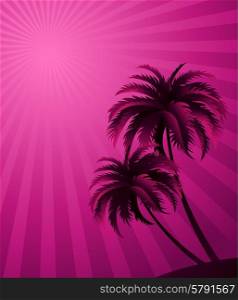 Vector sunset background . Vector sunset background with palm tree silhouette. For poster or flyer design