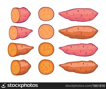 vector sweet potatoes set isolated on white background. raw batatas potato slices. healthy organic food, vegetable agriculture.