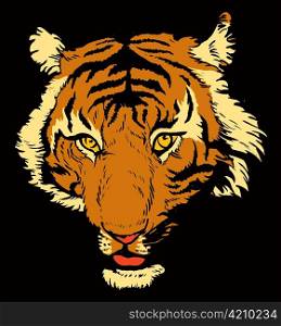 vector t-shirt design with raging tiger