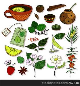 Vector tea collection. Herbal plants and elements for packaging design or menu decoration.. Vector tea collection. Herbal plants and elements for packaging design or menu decoration