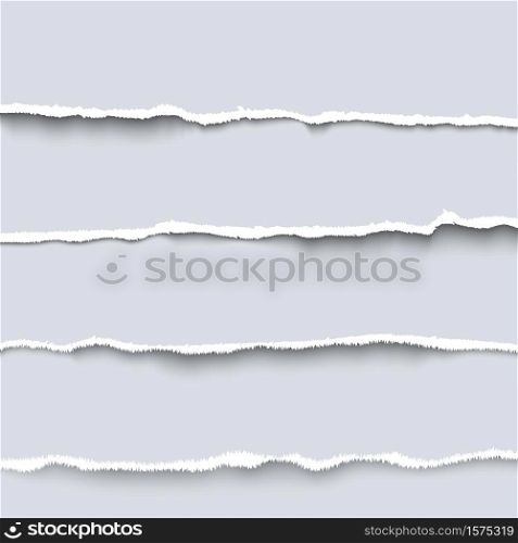 Vector torn paper. Collection of four white pieces of torn paper with ripped edges, torn cardboard. Vector torn paper