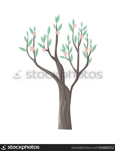 Vector Tree in Blossom with Beautiful Flowers. Vector tree in blossom. Green stylish plant isolated on white with beautiful flowers. Cartoon style tree. Editable element for your design. Part of series of different trees. Vector illustration.