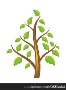 Vector Tree on White Background
