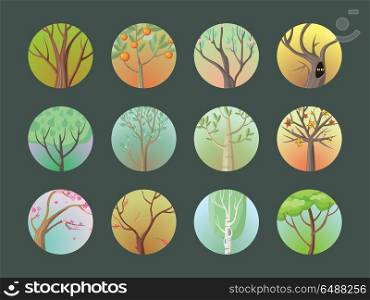 Vector Trees Set. Collection of Different Types. Vector trees set. Collection of trees. Oak, birch, sakura, planetree, maple,citrus, apple, pine. Cartoon style trees. Editable element for your design. Part of series of different trees Vector