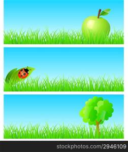 Vector triptych of objects on detailed grass. Apple, ladybird on a leaf, tree. Concept of new ecological nature friendly lifestyle. One of a series.