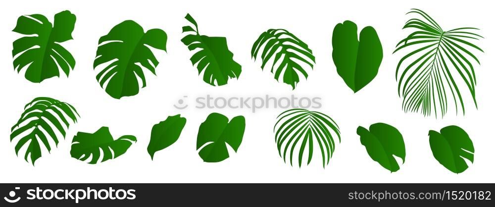 vector tropical green leaves plant set