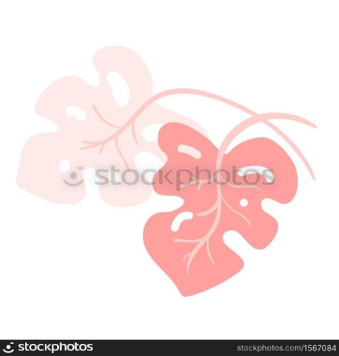 Vector tropical trendy summer monstera leaves. Two Pink Jungle leaves isolated on white background.. Vector tropical trendy summer monstera leaves. Two Pink Jungle leaves isolated on white background