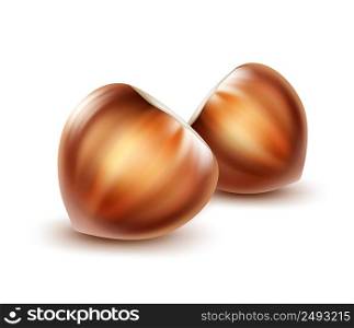 Vector two realistic whole unpeeled hazelnuts close up side view isolated on background. Two unpeeled hazelnuts