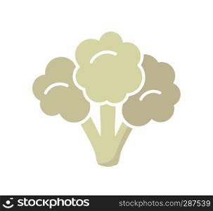 vector vegetable cauliflower cabbage piece isolated on white background. healthy vegetarian food icon. raw cauliflower single piece for harvest illustrations