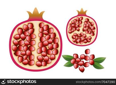 vector vegetarian illustration of pomegranate with grains and leaves