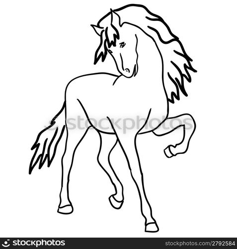 Vector version. Black horse silhouette isolated on white for design.