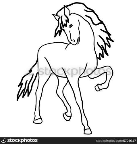 Vector version. Black horse silhouette isolated on white for design.