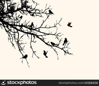 vector vintage background with birds
