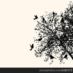 vector vintage background with birds