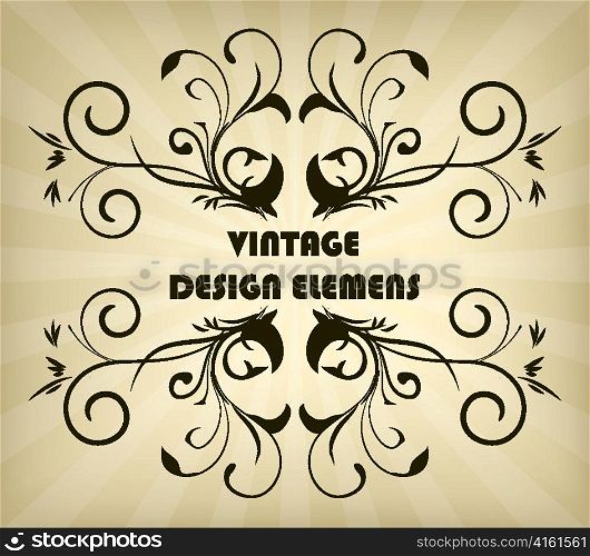 vector vintage floral frame with rays background