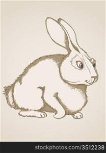 Vector vintage hand drawn rabbit